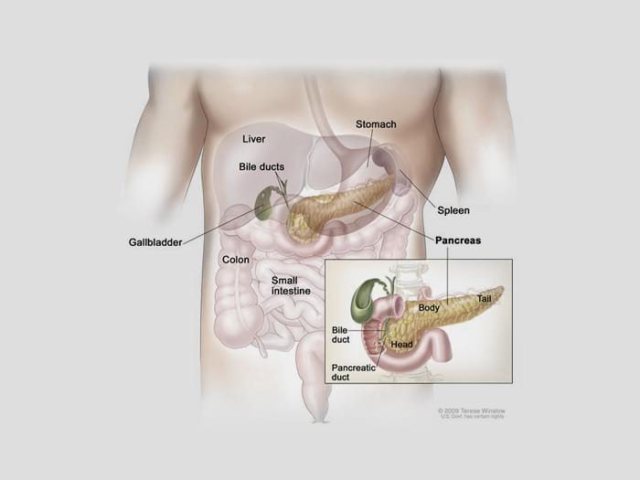 Pancreatic Cancer